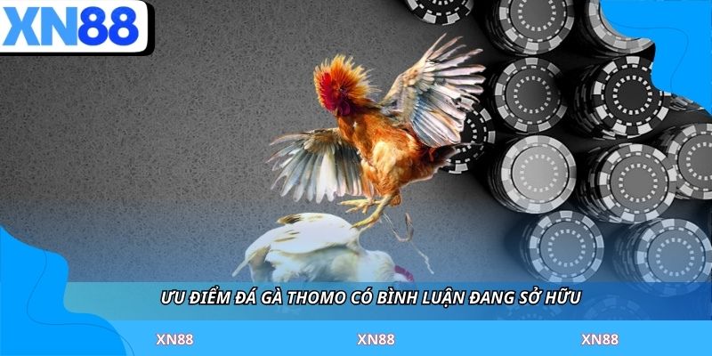 Ưu điểm đá gà thomo có bình luận đang sở hữu